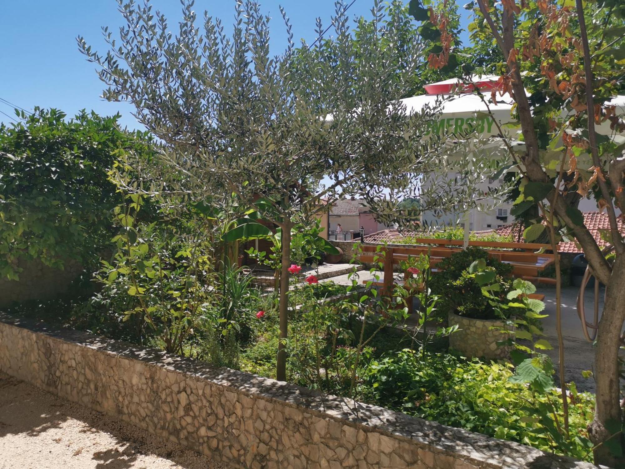 Rudelj Apartment Makarska